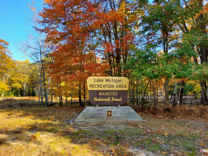 manistee national forest