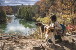 hiking in woods with dog