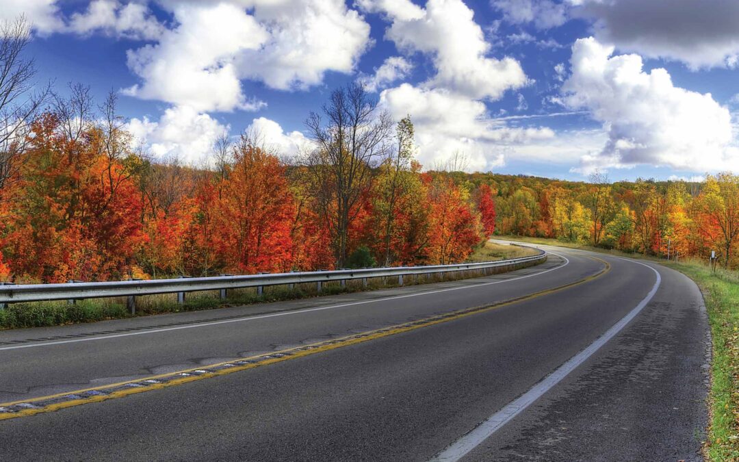 Manistee Fall Color Tours: Scenic Drives & Photo Stops