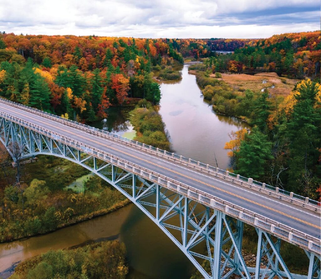 trees changing colors over bridge and water